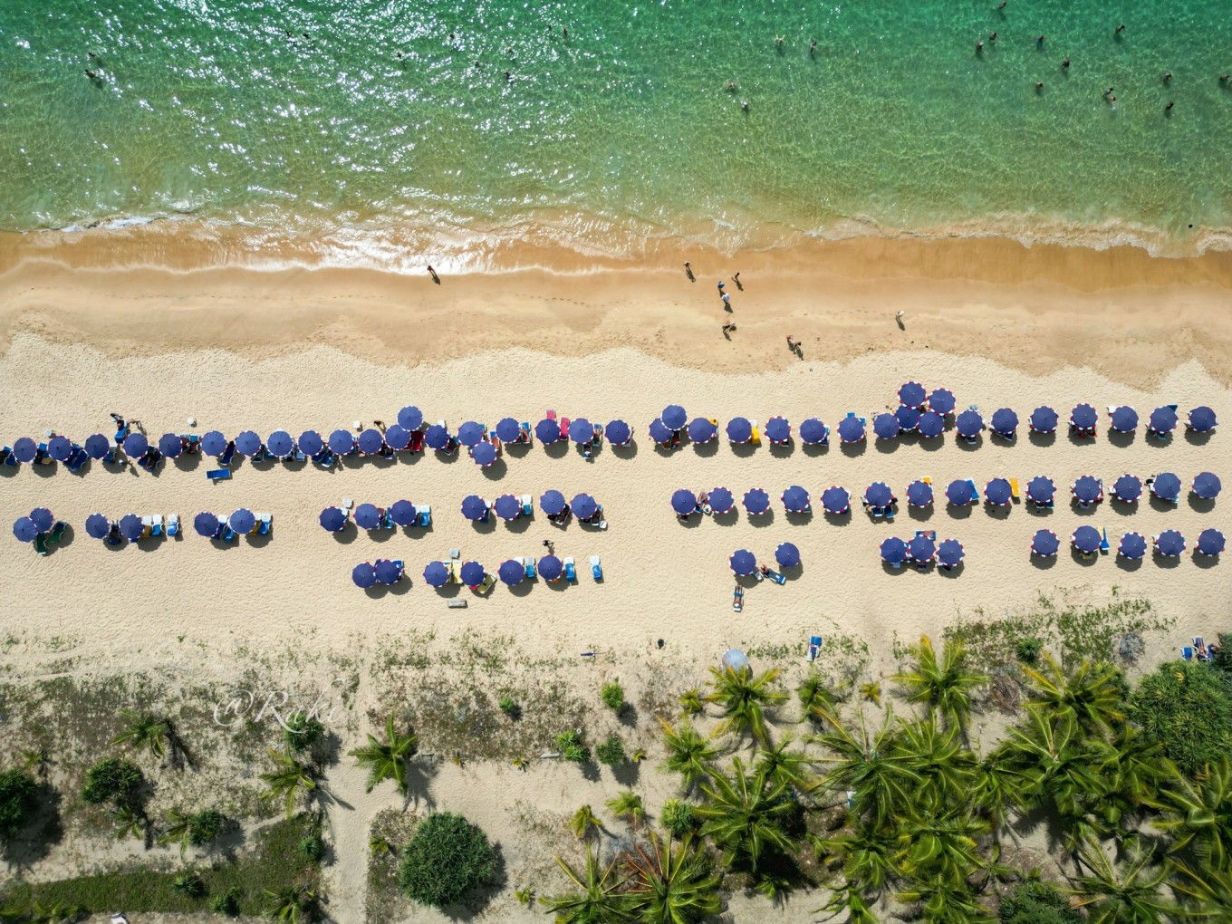 1678931385727530DNOV.jpeg 1678931385727530DNOV.jpeg