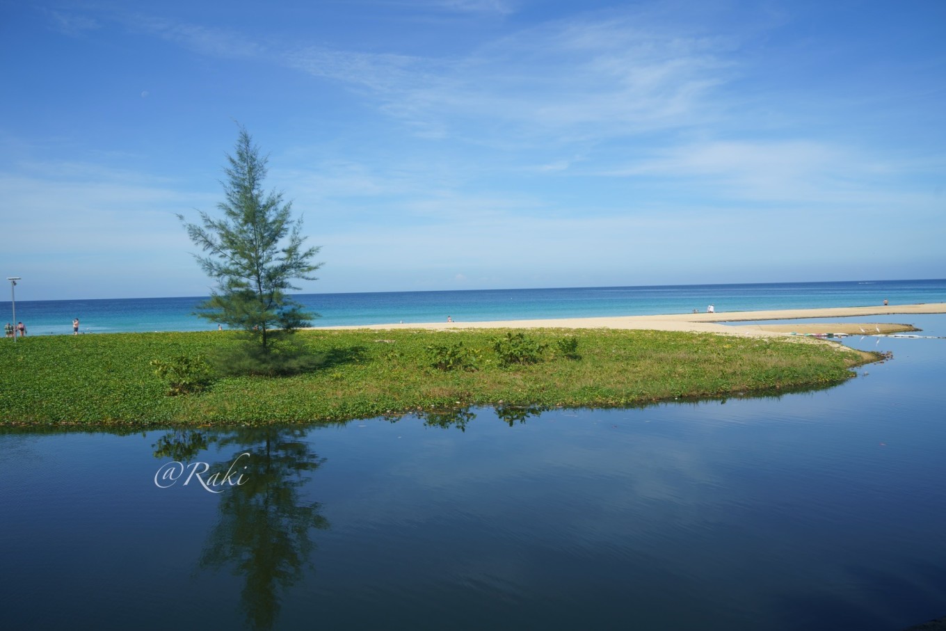 1678931481954327rveS.jpeg 1678931481954327rveS.jpeg